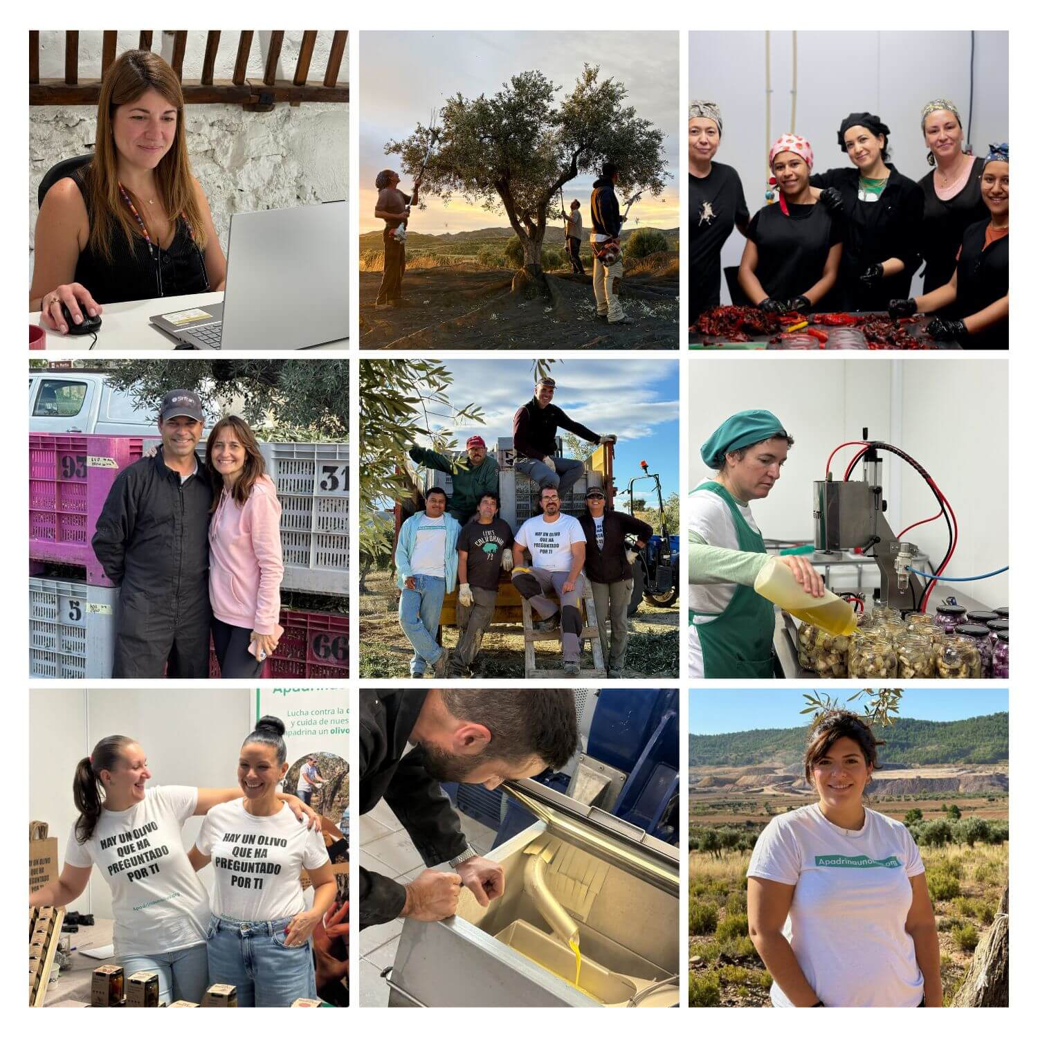 Collage del equipo de Apadrinaunolivo.org